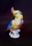 Germany  " The Parrot "  **FREE SHIPPING
