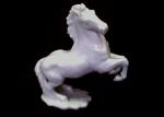 Germany " Horse " **FREE SHIPPING
