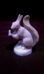 " Squirrel "  **FREE SHIPPING