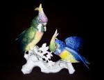 " DOUBLE COCKATOO "