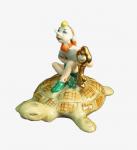 "Pinocchio on the tortoise Tortilla"   **FREE SHIPPING
