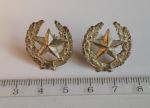 Badges - shooting troops / KGB (large).