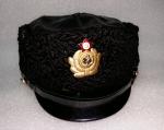 Cap with a visor (captain 1st rank of colonel or coastal services Navy)