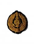 The emblem (badge) senior officers of the Ministry of the River Fleet