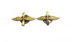 Air Force Emblems, Model 1943/1955