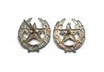 Emblems of the quartermaster and administrative service M-1955