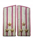 Colonel