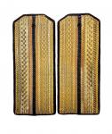 Ceremonial - everyday shoulder straps of technical arms M-1956