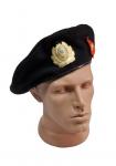 Takes a special detachment of the MVD (OMON)