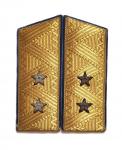 Shoulder straps of Lieutenant General of the Air Force -1958