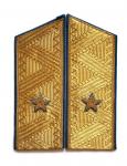 Shoulder straps of the Major General of the Air Force -1969