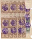 USSR \ RSFSR   1924.   INTERESTING  DOCUMENT!!!