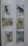 Color  catalogue - price  "Soviet porcelain 1930 - 1980" **FREE SHIPPING