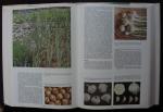 "The encyclopaedia of the gardener"